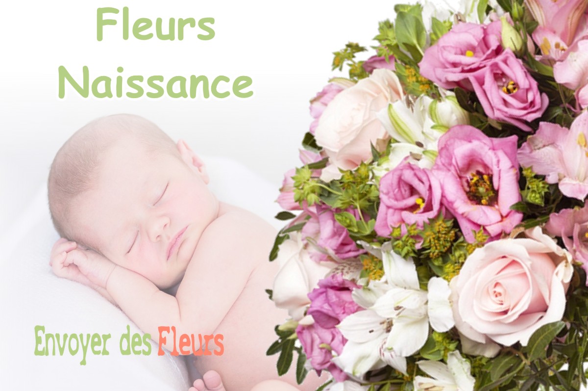 lIVRAISON FLEURS NAISSANCE à SAINT-GEOIRE-EN-VALDAINE